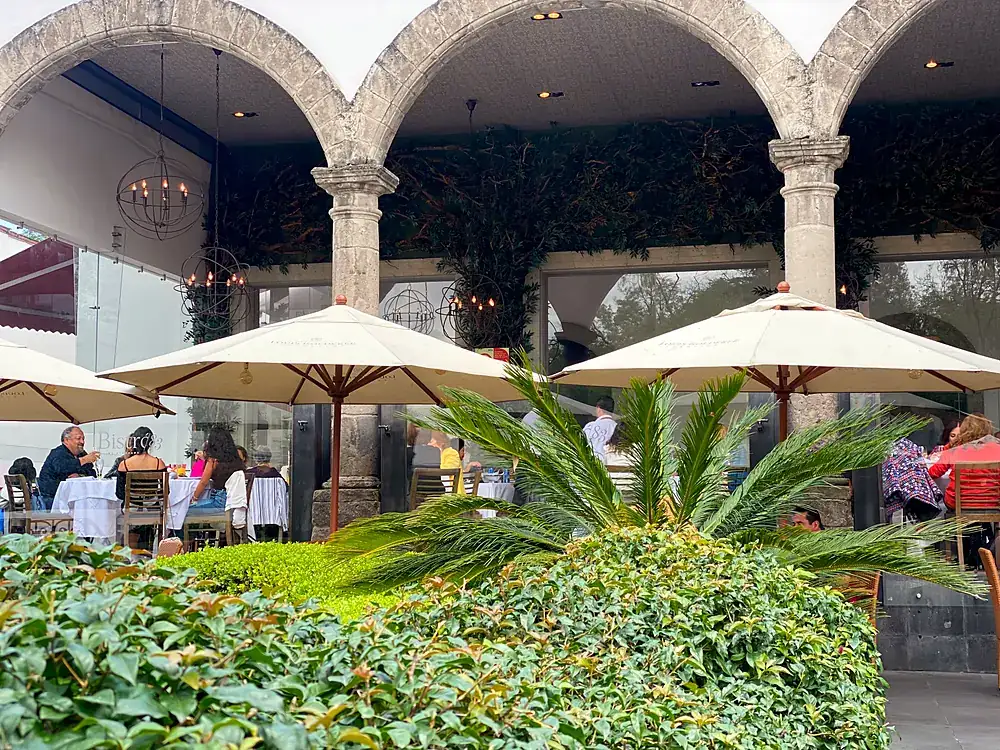 Terraza de Bistró 83 con sombrillas y vegetación